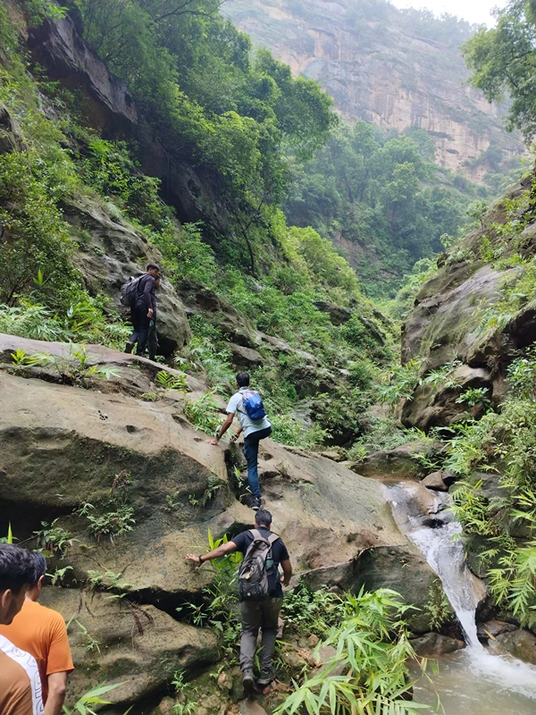 Korba Jungle Trek - Image 1