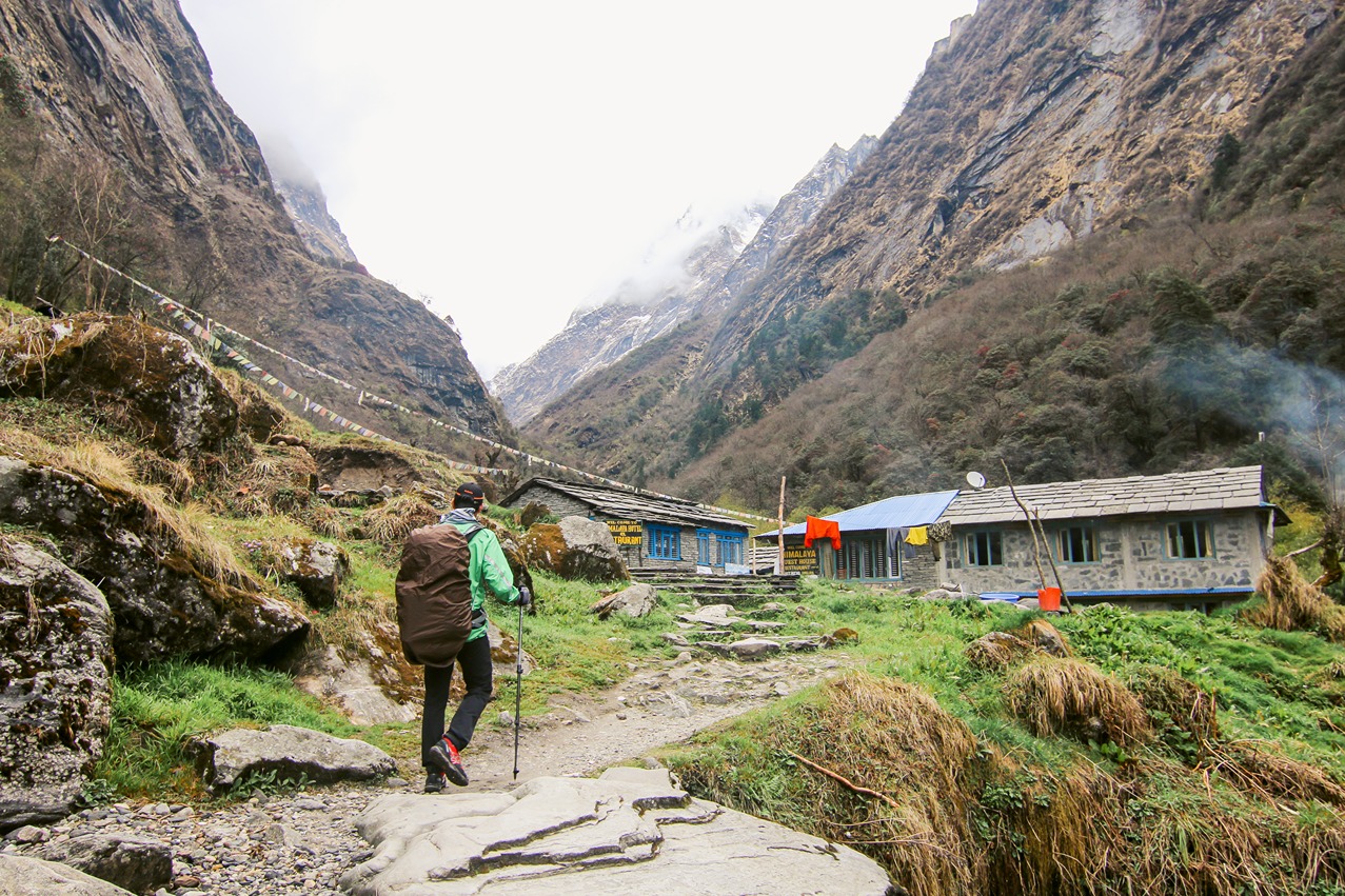 Dayara bugyal Trek - Image 5