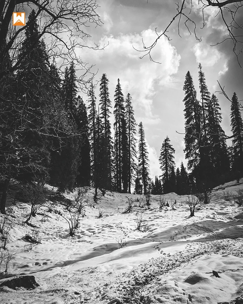 Kedarkantha Trek - Image 1