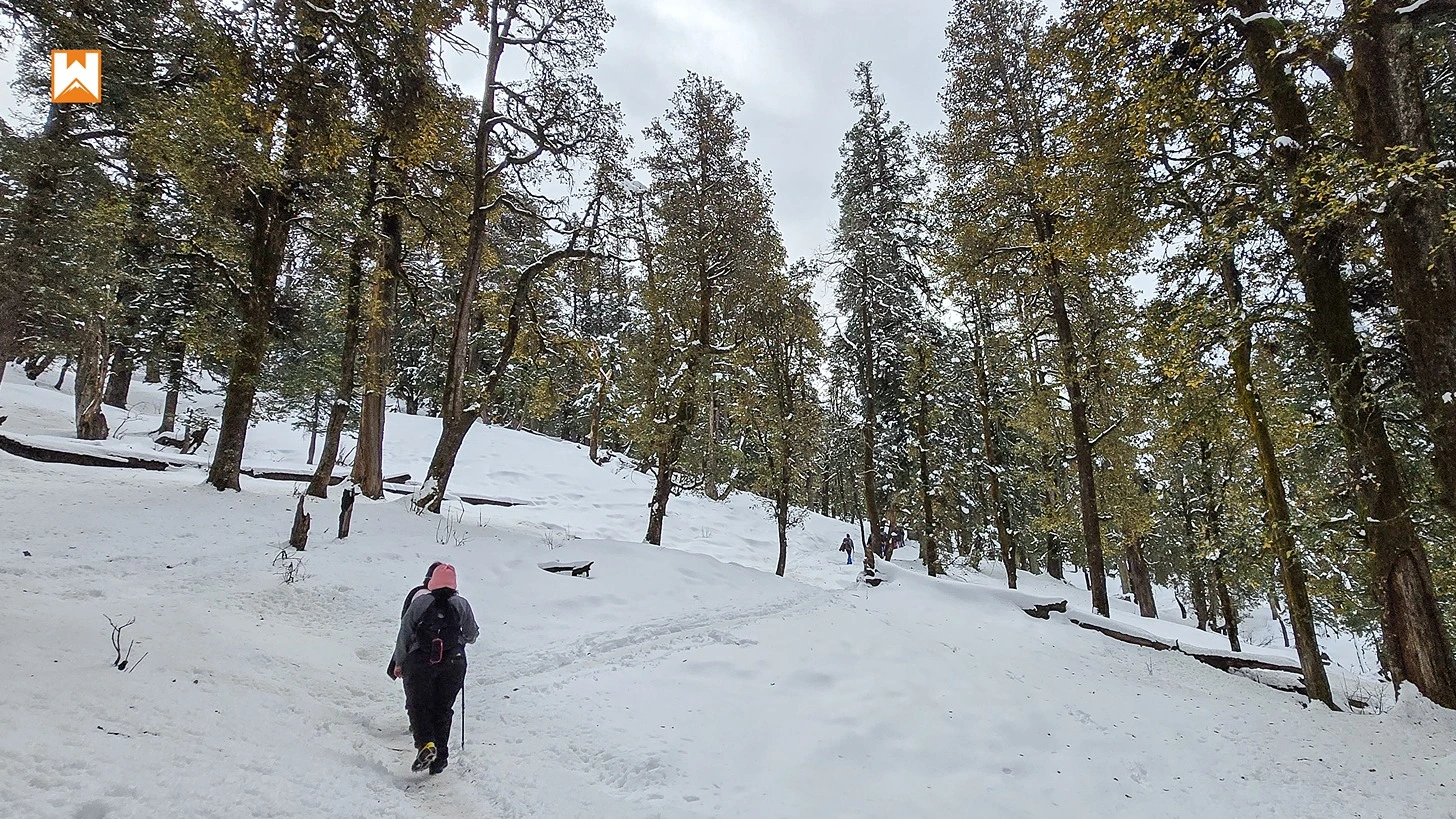 Kedarkantha Trek - Image 6