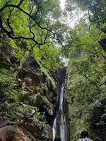 Korba Jungle Trek - Image 11