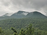 Korba Jungle Trek - Image 13