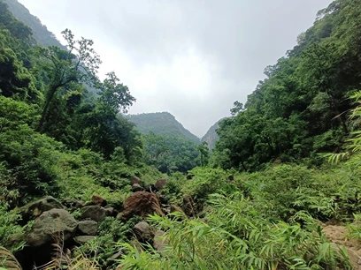 Korba Jungle Trek - Image 8
