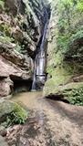 Korba Jungle Trek - Image 10
