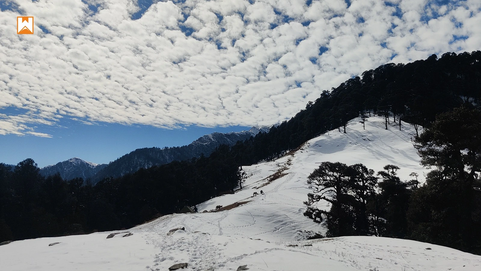 Muniyal Top Trek - Image 3