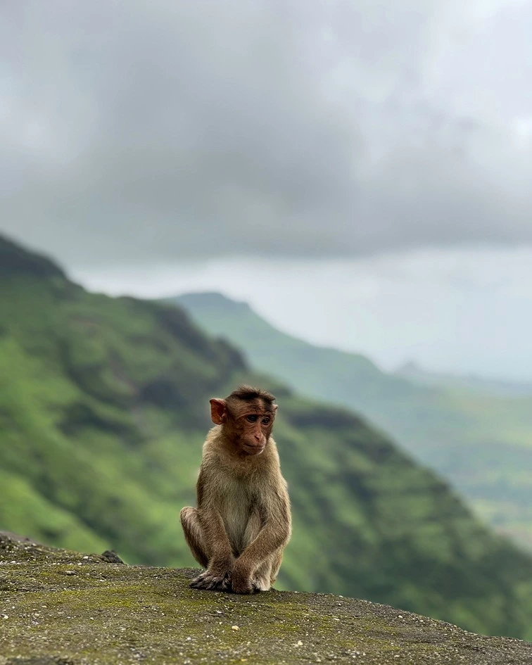 Salher fort trek - Image 5