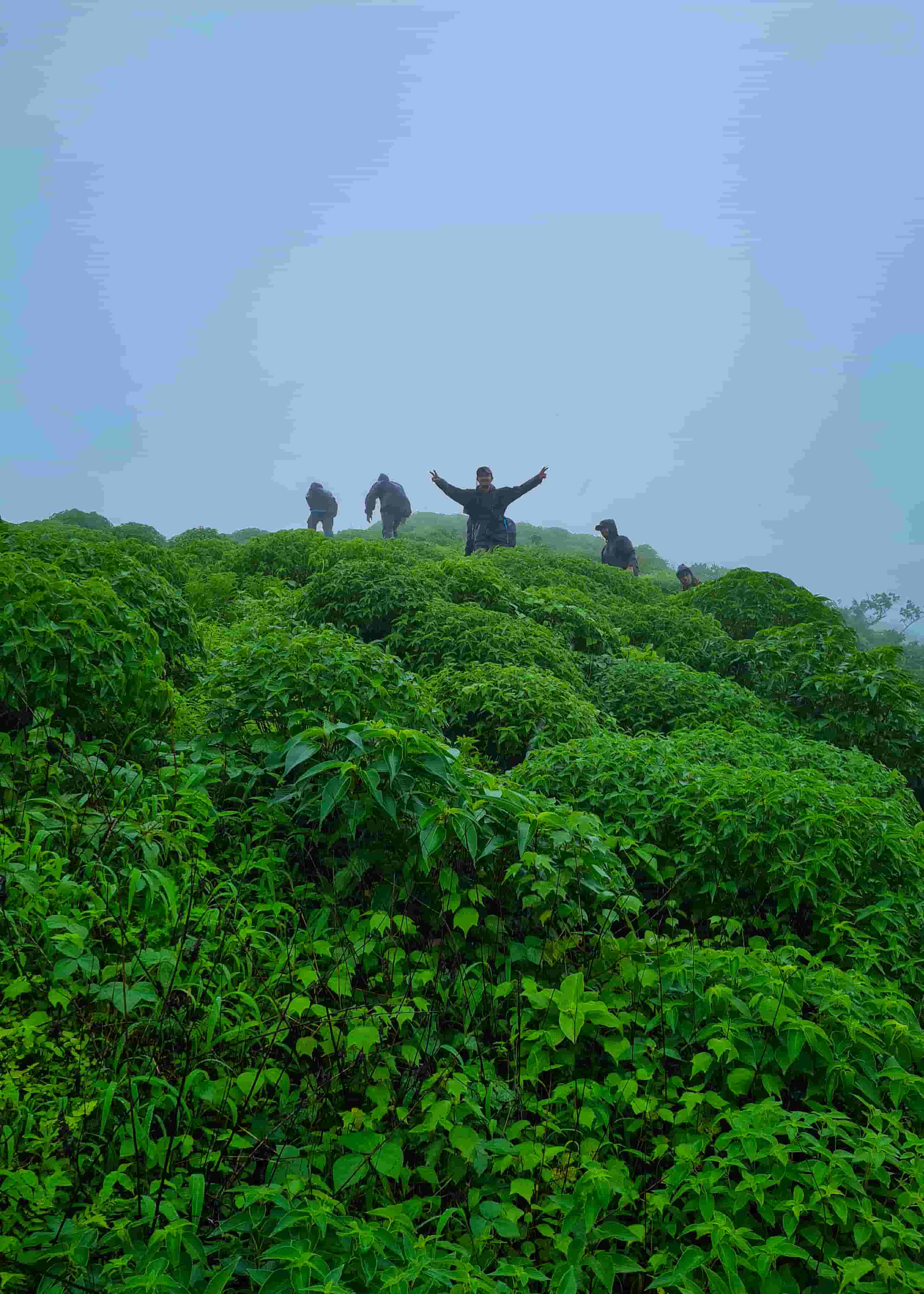 Trek to Bhavanigadh