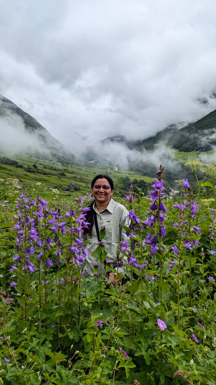 Valley of Flowers Trek - Image 4