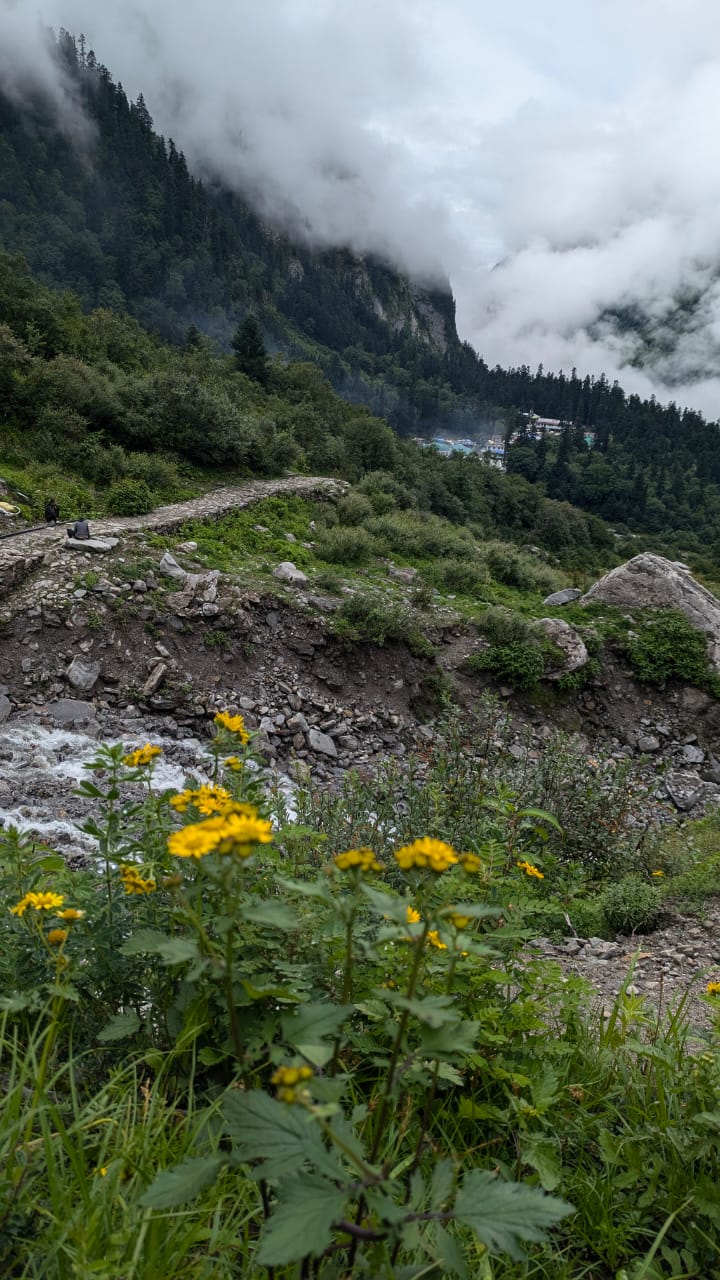 Valley of Flowers Trek - Image 1
