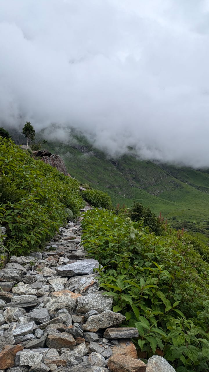 Valley of Flowers Trek - Image 7